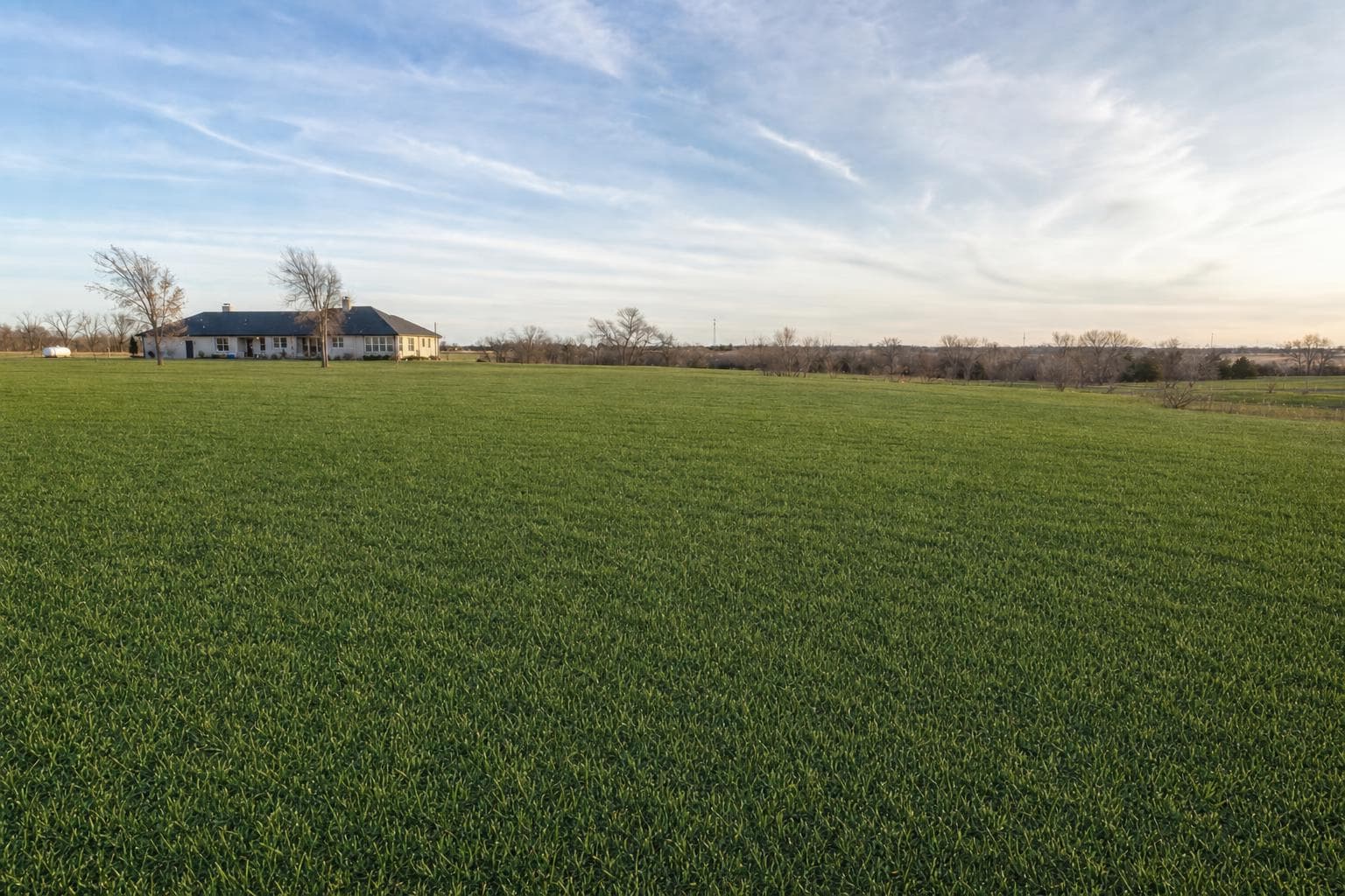 Acreage Seeding — After